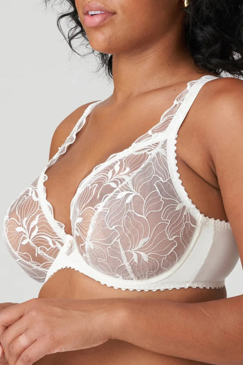 PrimaDonna Springdale Plunge Bra